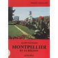 Montpellier et sa région