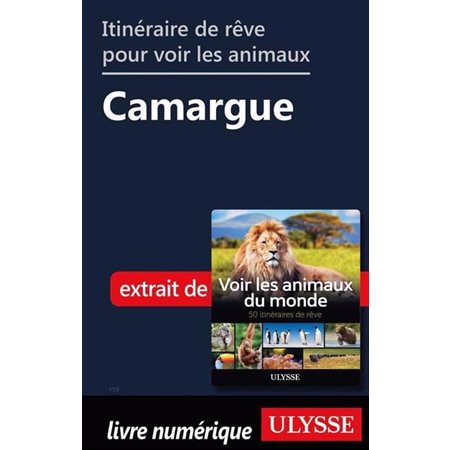 Itinéraire de rêve pour voir les animaux -  Camargue