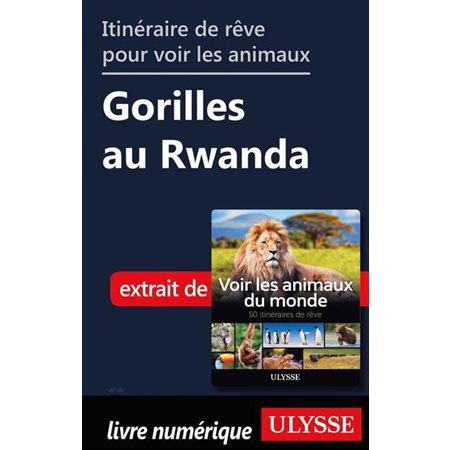 Itinéraire de rêve pour voir les animaux Gorilles au Rwanda