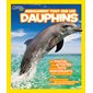 Absolument tout sur les dauphins