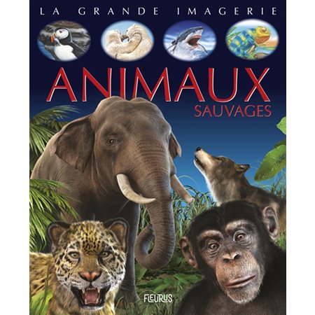 Animaux sauvages: Compilation grande imagerie