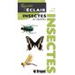 Guide éclair : Insectes du Québec