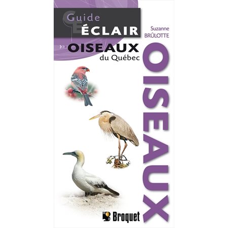Oiseaux du Québec  /  Guide éclair