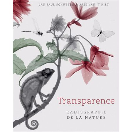 Transparence, radiographie de la nature