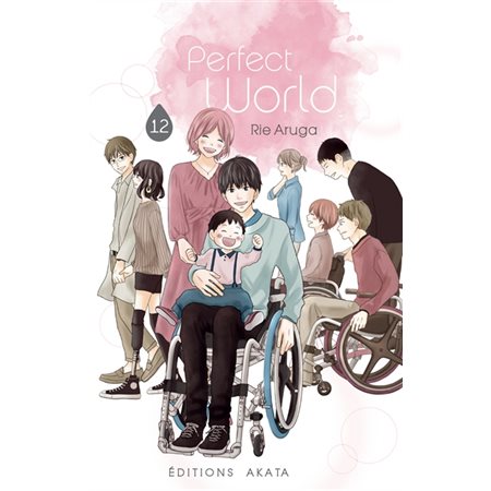 Perfect world Vol.12