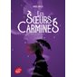 Belle de gris, Tome 2, Les soeurs Carmines