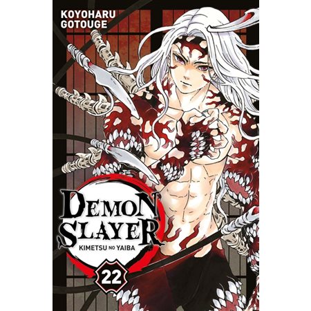 Demon slayer T22: Kimetsu no yaiba