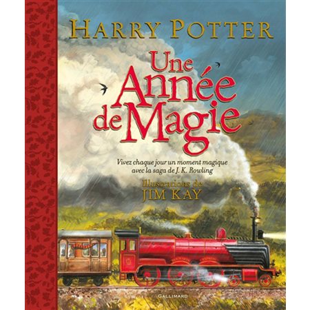 Harry Potter : une année de magie