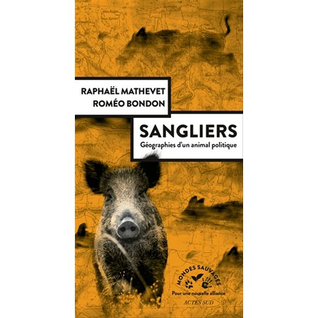 Sangliers : géographies d'un animal politique