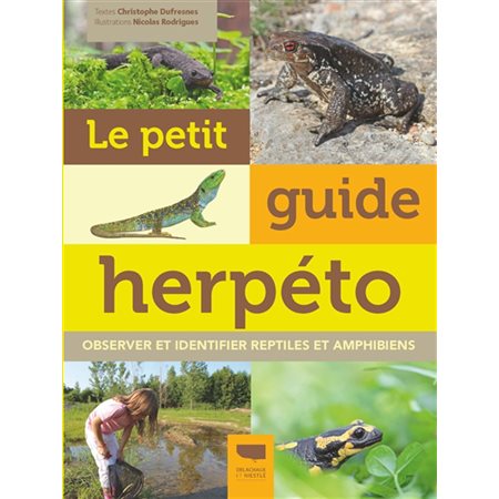 Le petit guide herpéto : observer et identifier reptiles et amphibiens