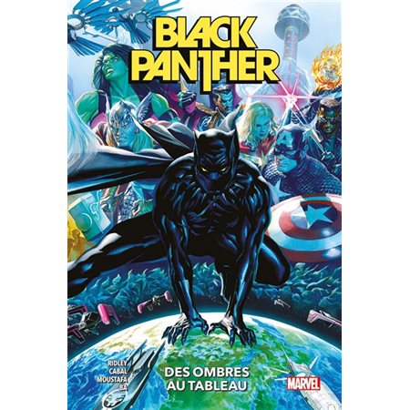 Des ombres au tableau. tome 1, Black Panther