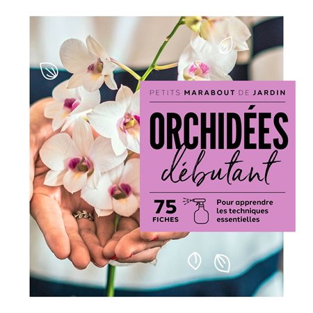 Orchidées débutant : 75 fiches