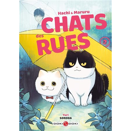 Hachi & Maruru : chats des rues, vol. 2