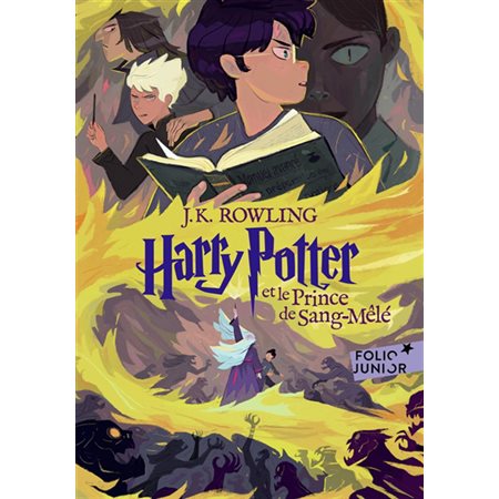 Harry Potter et le prince de Sang-Mêlé, tome 6, Harry Potter