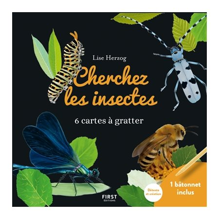 Cherchez les insectes : 6 cartes à gratter