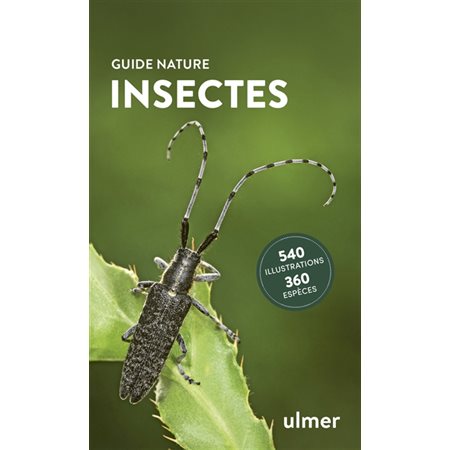 Insectes : 540 illustrations, 360 espèces