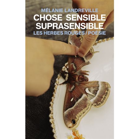 Chose sensible suprasensible