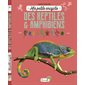 Ma petite encyclo des reptiles & amphibiens