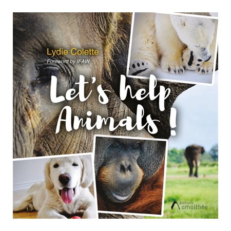 Let's help animals !