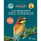 A la découverte des oiseaux : des jeux et des conseils pour les protéger !