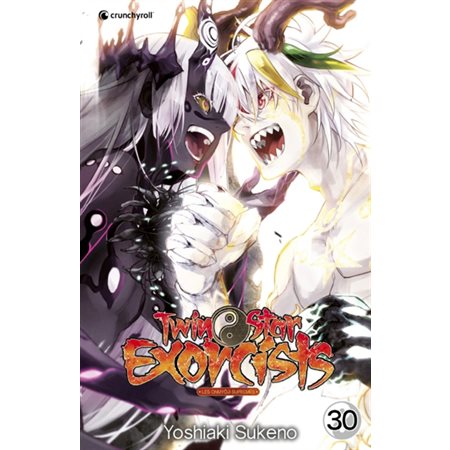 Twin star exorcists, Vol. 30
