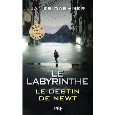 Le labyrinthe : le destin de Newt