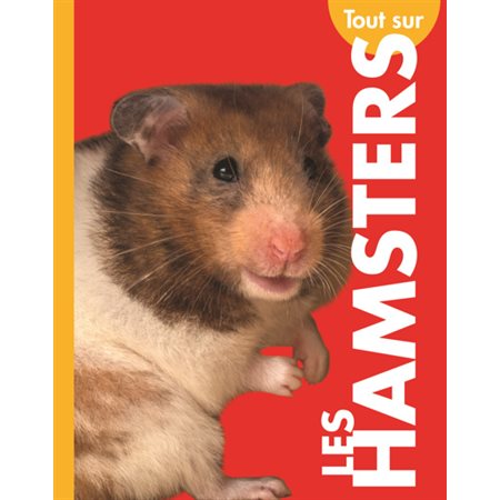 Tout sur les hamsters