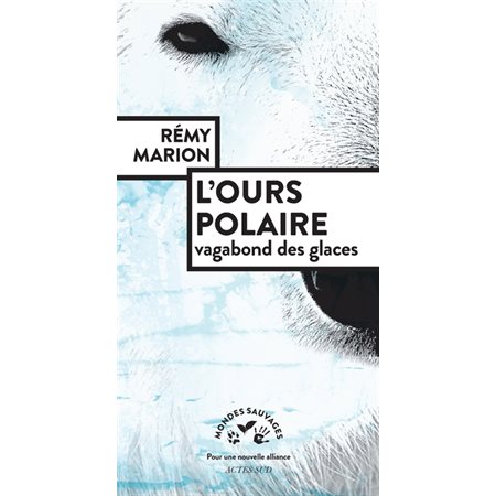L'ours polaire : vagabond des glaces