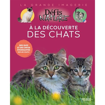 A la découverte des chats