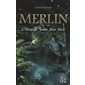 Merlin 05  L'étrange pays des fées