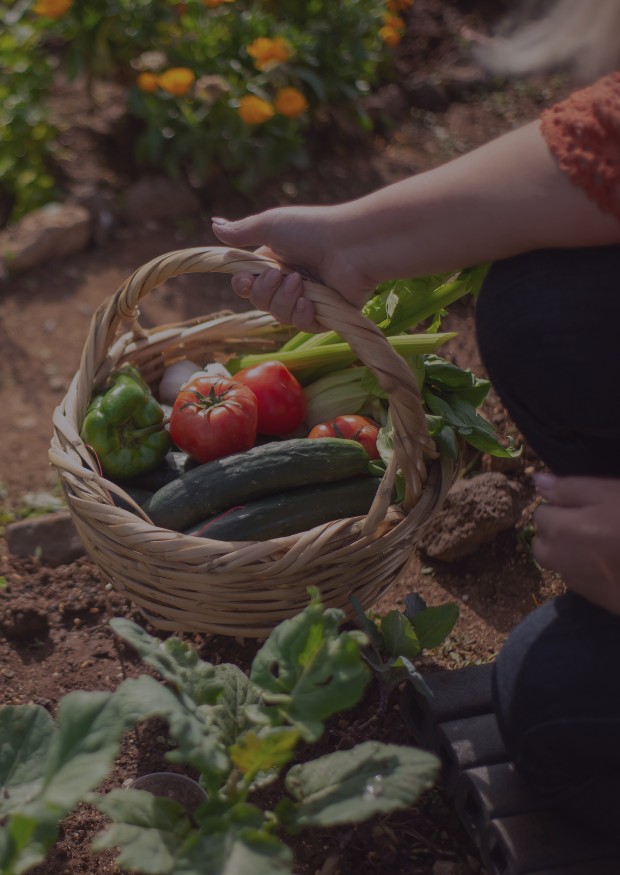 Jardinage, nature et environnement